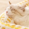 thumbnail image 3 of Soft Plush Cat Sofa Bed With Armrest Design Yellow Checkered Pattern, Big Eyes,Cats Dog , Cozy Spot, Easy To Wash, 3 of 8