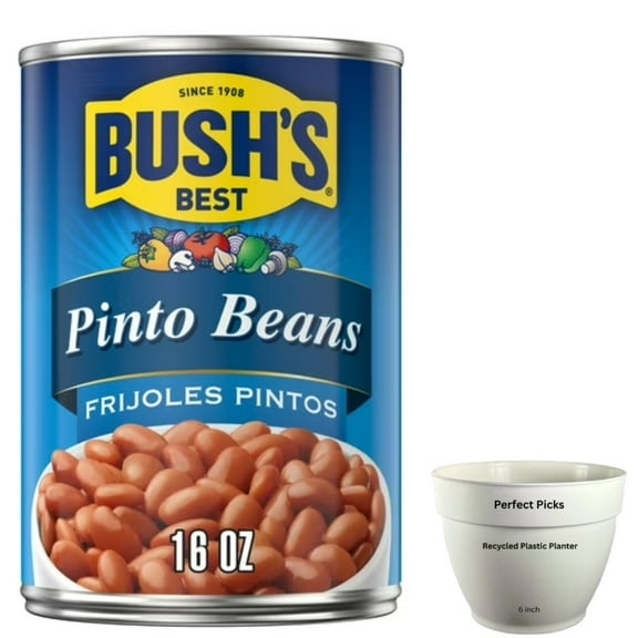 Bush's Canned Pinto Beans, Canned Beans, 16 oz Can, Includes 1 Plastic Planter