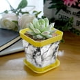 thumbnail image 5 of HemaKayy Decorative Planter Pot Set - Perfect for Small Plants - Colorful Design With Drainage Hole - Ideal for Home and Garden Decor - Set of 8 - Unique Marble Texture, 5 of 6