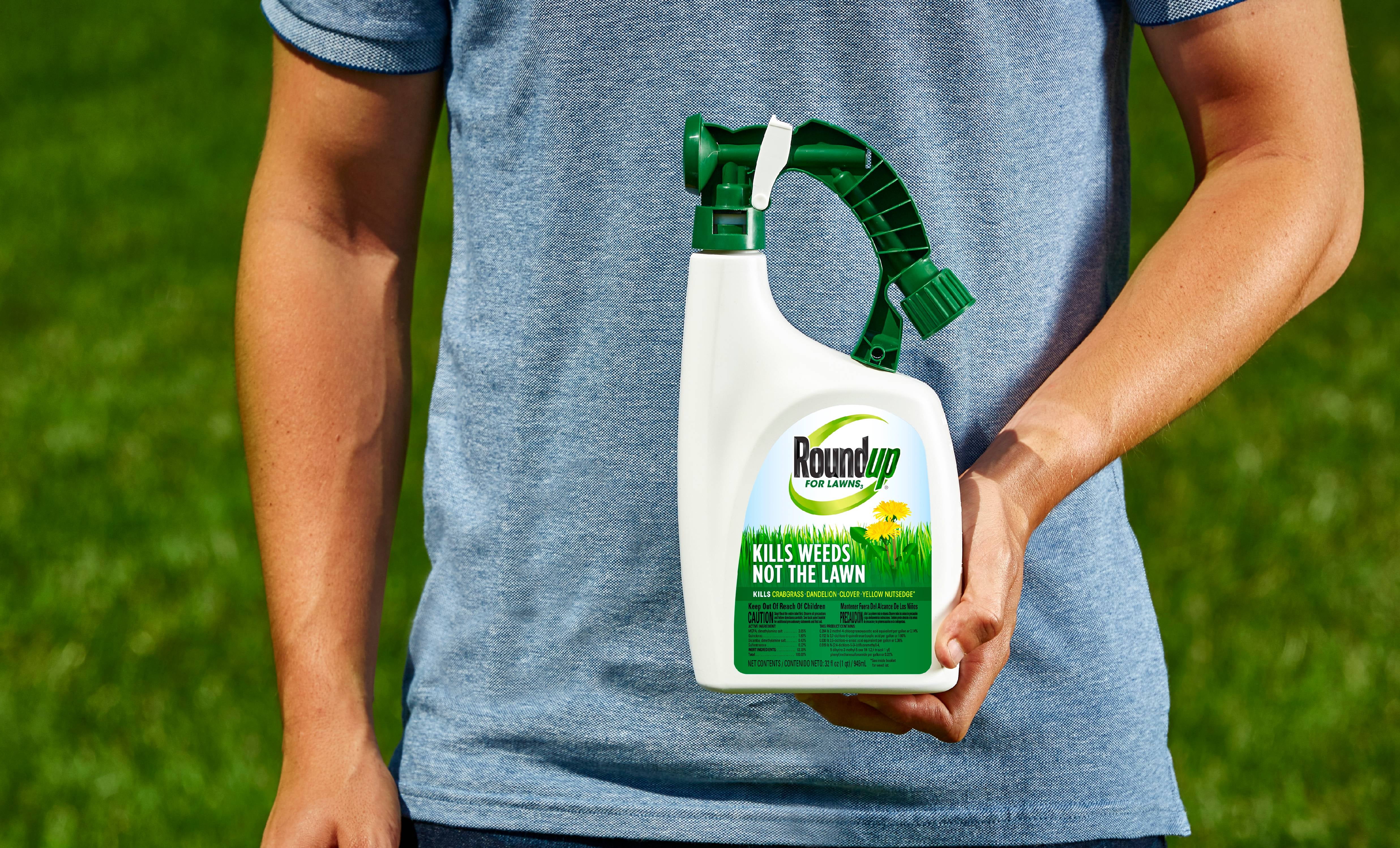 Roundup For Lawns3 Ready To Spray Northern Com