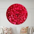 thumbnail image 2 of Designart 'Pink Aster Flower Petals Close up ' Modern Wall Clock, 2 of 4