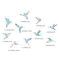 thumbnail image 1 of Pegatinas para ventanas con forma de nubes y estrellas: calcomanías anticolisión para evitar que las aves choquen contra las ventanas, calcomanías de vinilo prismático no adhesivas para ventanas,, 1 of 6