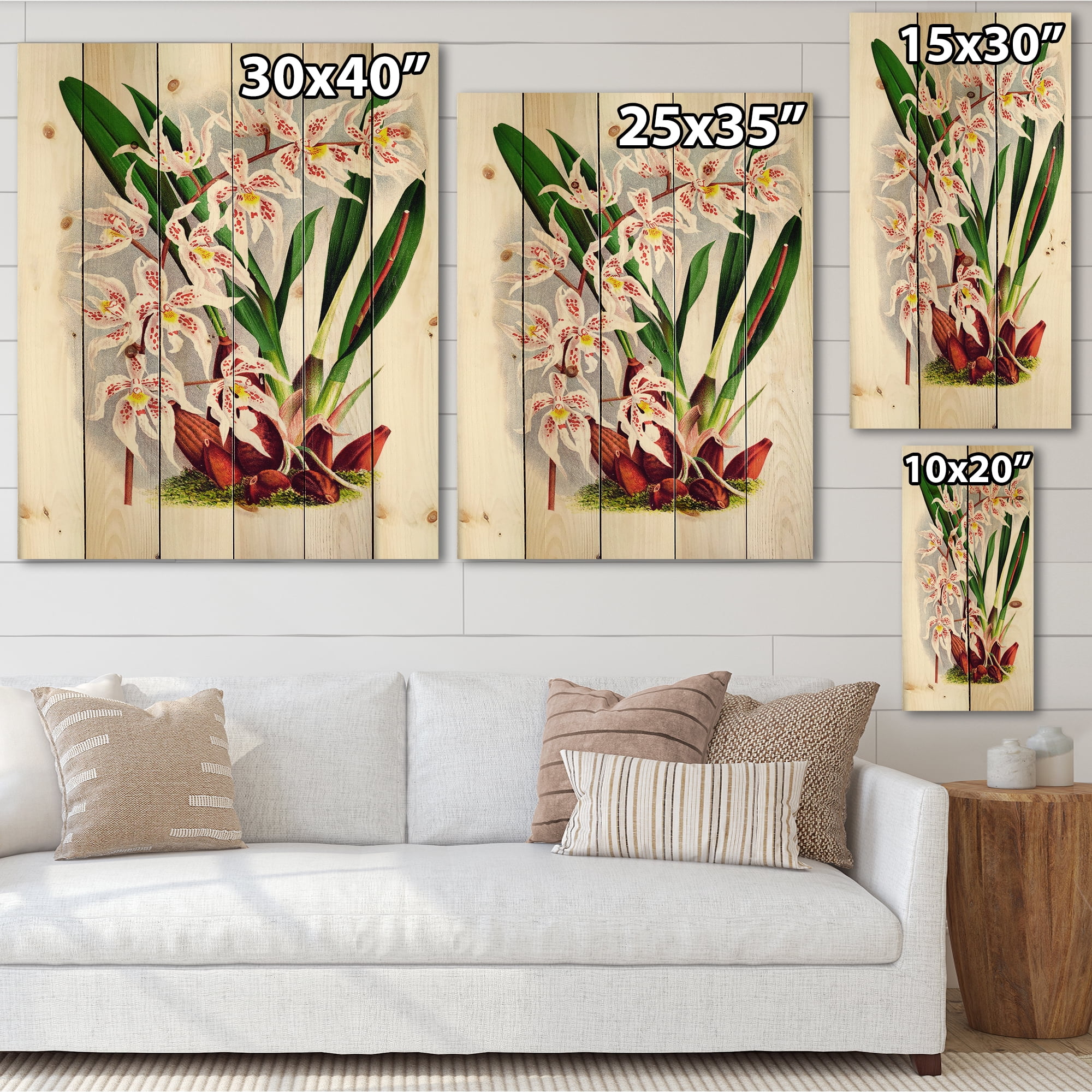 Designart 'White Vintage Orchid Flower II' Traditional Print on Natural Pine Wood