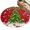 Red, variant on Christmas Tree Entryway Rug 2x3ft Washable Non Slip Bathroom Rug Indoor Floor Front Door Mat Xmas Red Balls Pine Branches Snowflakes New Year Rectangle Area Rugs Carpet for Kitchen Office Dining Room