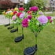 thumbnail image 4 of Cateissary Luces de flores con energía solar, luces decorativas para césped al aire libre, luz solar para césped de rosas, jardín y patio Iluminación y accesorios Púrpura, 4 of 6