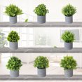 thumbnail image 1 of Gwong Decoración hogareña Pote artificial Pot Grass Desktop Decoration Partidos de boda de plástico Simulación decorativa Bonsai para jardín Gwong 21061525, 1 of 6
