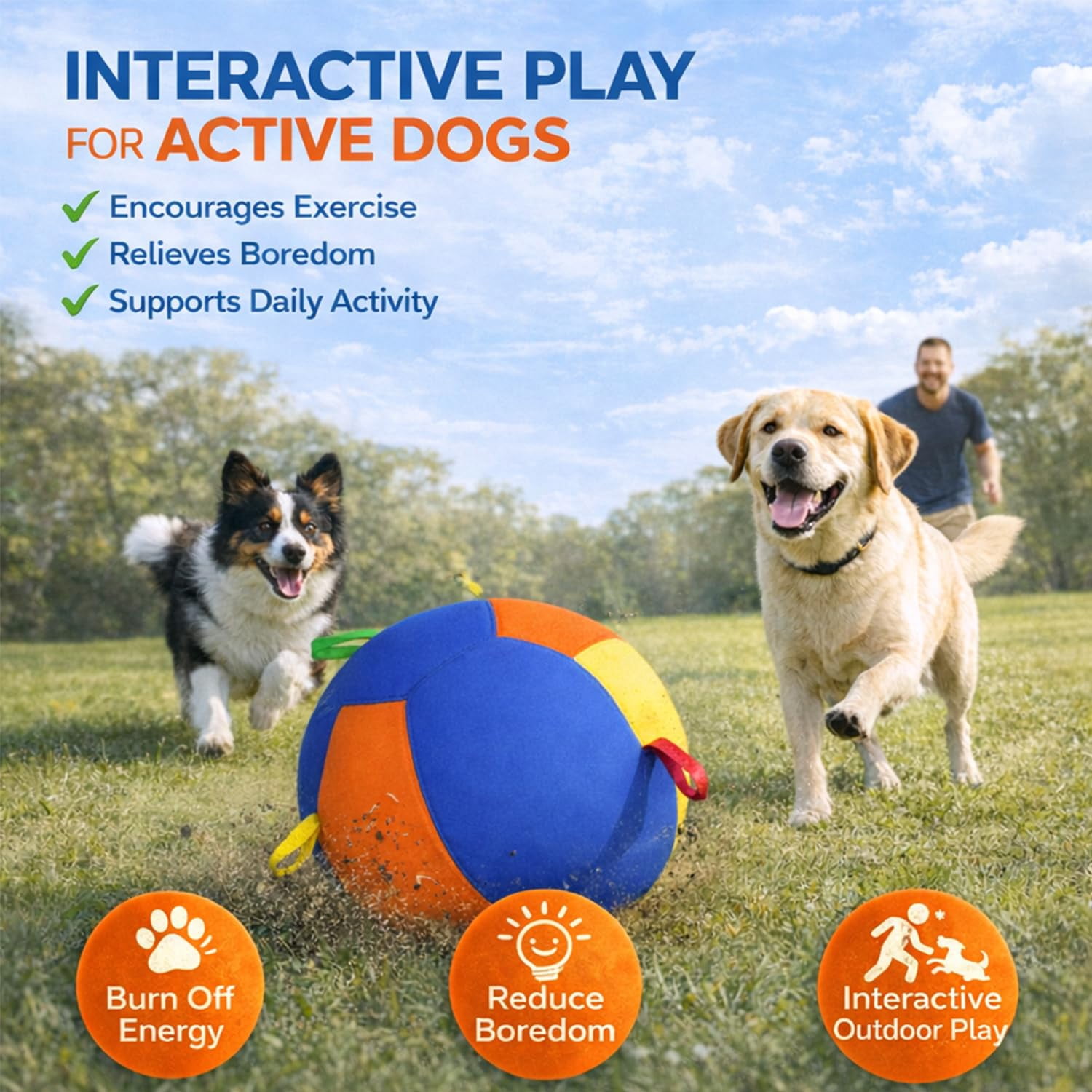 Calming Jumbo Ball for Dogs, Giant Interactive Dog Ball with Straps, Durable Inflatable Exercise Toy for Boredom Relief, Training, Outdoor Play and Energy Release
