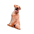 thumbnail image 1 of Animaux Chien Modèle Peluche Coussin Coussin Peluche Poupée Jouets Lavable Style B, 1 of 9