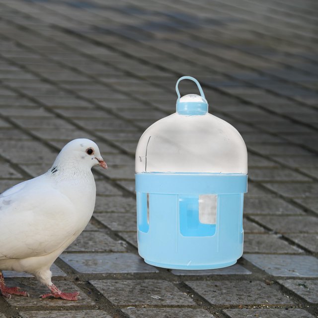 TABLZONE Accesorio Para Jaula De Pájaros Con De Ideal Para Y Loros