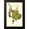 thumbnail image 2 of Audubon, John James 13x18 Black Modern Framed Museum Art Print Titled - Audubons Finch, 2 of 5