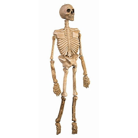 Skeleton Prop Halloween Decoration