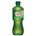 thumbnail image 3 of Canada Dry Ginger Ale Soda Drink, 20 Fl Ounce Bottle Variety Pack (Pack of 5) Packaging May Vary, 3 of 5
