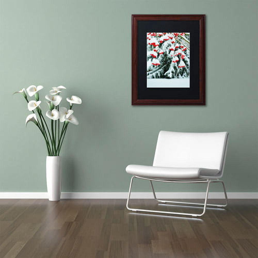 Trademark Fine Art "Winter Berries and Pine" Canvas Art by Kurt Shaffer Black Matte, Wood Frame
