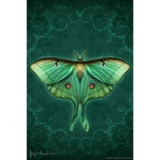 Damask Luna Moth by Brigid Ashwood Butterfly Decor Insect Wall Art Moths Butterflies Illustration Cool Wall Art Print Poster 16x24