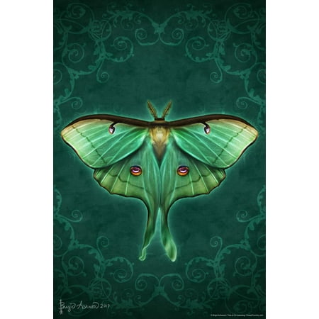 Damask Luna Moth by Brigid Ashwood Butterfly Decor Insect Wall Art Moths Butterflies Illustration Cool Wall Art Print Poster 16x24