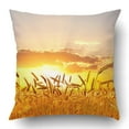 thumbnail image 1 of Funda de almohada ABPHQTO Trigo Maduro Al Atardecer 45x45 cm, 1 of 1