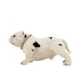 thumbnail image 3 of Petorama Handmade American Bully Exotic Resin Statue 1-4 in Beige, 3 of 8