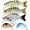 B1-2"-0.07oz, variant on Fishing Lures for Freshwater or Saltwater, Easy to Use for Family Fishing Beginner and Pros,  Lifelike Jointed Swimbait,Slow Sinking Bass Pike Panfish Walleye Lures, Fishing Gifts for Men