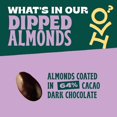 thumbnail image 5 of Dark Chocolate Covered Blueberries, 1 Ounce(Pack of 15), Gluten Free, Non-GMO, No Artificial Ingredients, 5 of 5