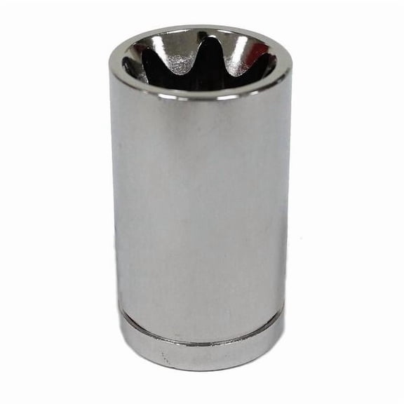 Westward External Star Socket,E16 20HX41
