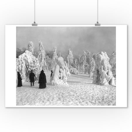 Heavy Snow Cover in Prospect Park NYC Photo (9x12 Art Print, Wall Decor Travel