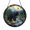 Acrylic 3.5 Inch, variant on Woodland Black Bear Acrylic Suncatcher, Decorative Window Hanging Sun Catcher for Cabin Decor