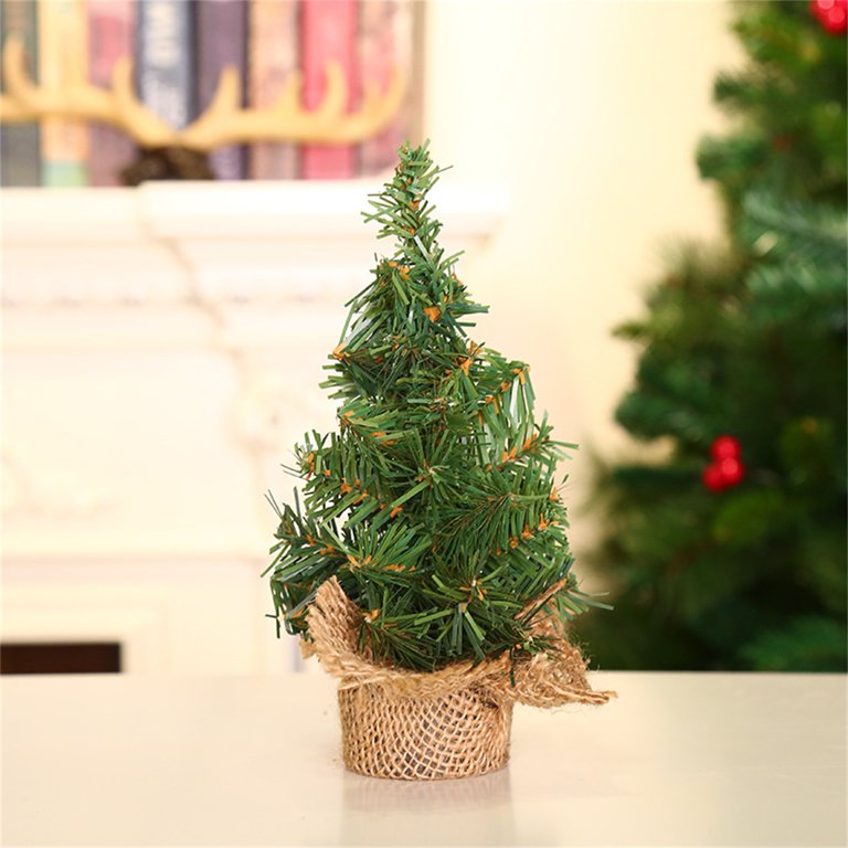 Five Local Stores Where You Can Get Mini Pine Trees For The Holiday Season