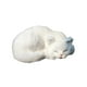 thumbnail image 2 of Imitation Velvet Model Decoration Sleeping Table Decoration Home Decoration Stall, 2 of 6