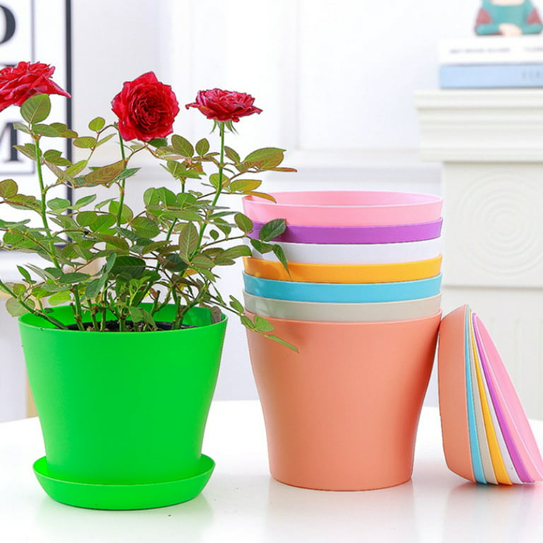 Plastic Tray Growing Seeds  Plastic Plant Flower Pot Tray
