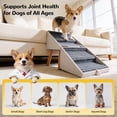 thumbnail image 2 of Escaleras para mascotas Ziluce 2 en 1 para perros pequeños con reposapiés de 44 cm, 2 of 7