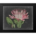 thumbnail image 2 of Curtis 24x20 Black Modern Framed Museum Art Print Titled - Dramatic Protea II, 2 of 5