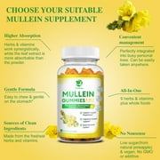 (2 Pack)Mullein Gummies for Lungs – Mullein Supplement with Quercetin, Elderberry for Respiratory & Immune Support, Lung Breathing & Detox, 60 Pineapple Gummies