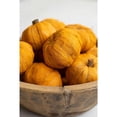 thumbnail image 3 of Kalalou Inc Bag Of Fifteen Dried Miniature Faux Pumpkins - Orange, 3 of 4