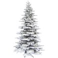 thumbnail image 1 of Árbol de Navidad Fraser Hill Farm Mountain Pine de 6.5 pies con soporte, 1 of 9