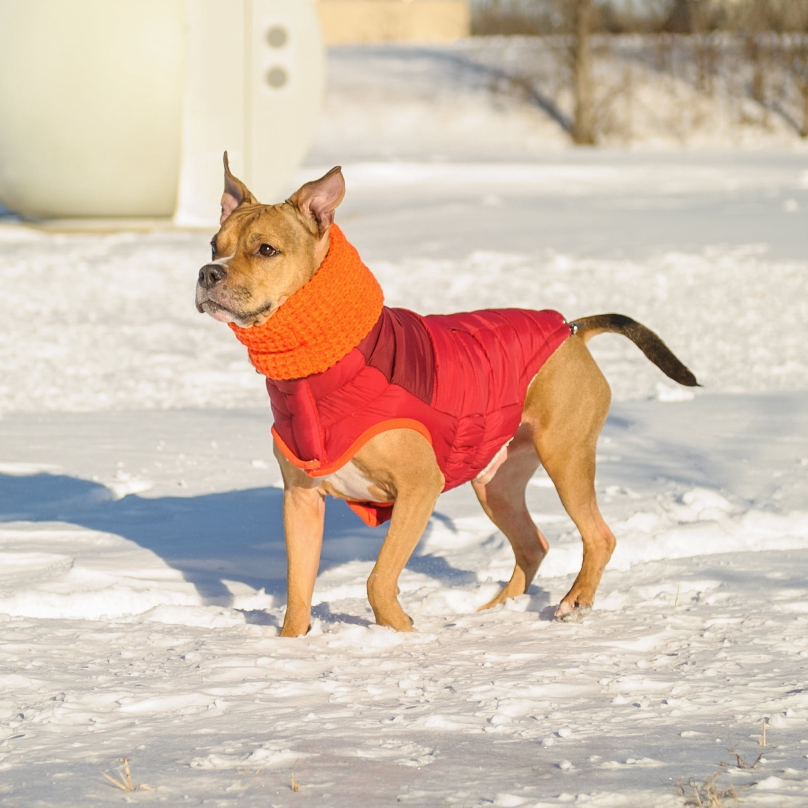 GF PET Scout Dog Jacket Winter Apparel Sport Style Elastofit Windproof Waterproof for Small Medium Large Dogs Pets, Red, 2XL