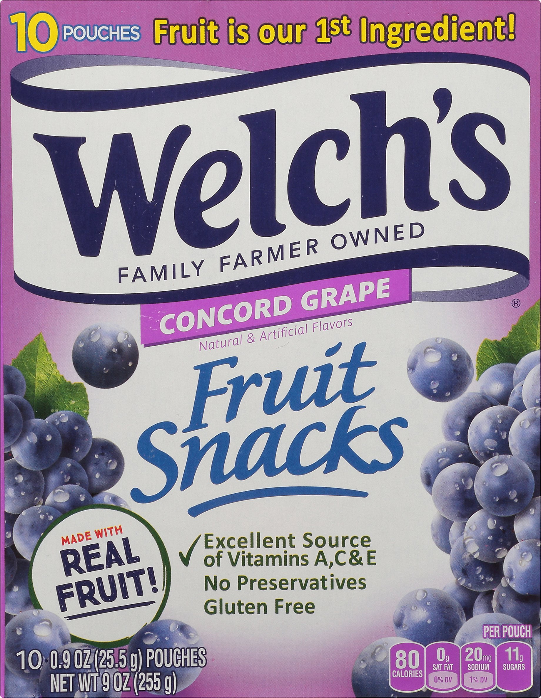 Welch's Concord Grape Fruit Snaks 5oz 10 Pack 