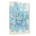 thumbnail image 2 of Epic Art 'Pastel Succulent I' by Tim O'Toole, Acrylic Glass Wall Art, 16"x24", 2 of 3