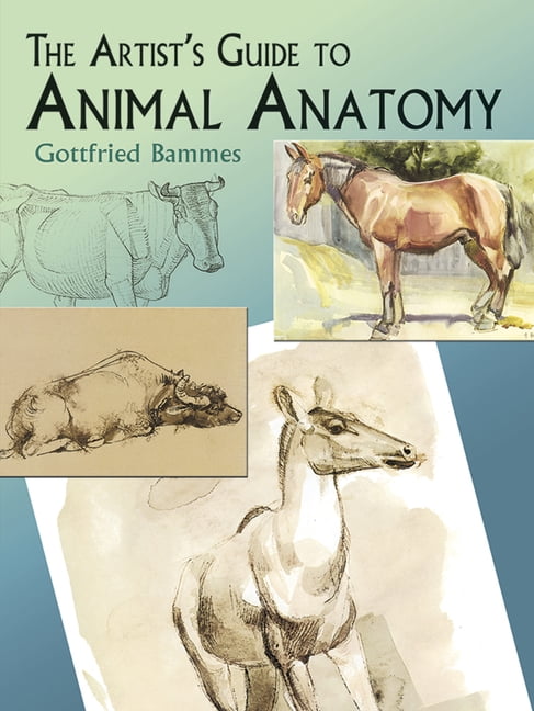 Dover Anatomy for Artists: The Artist's Guide to Animal Anatomy (Paperback)  