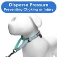 thumbnail image 6 of Pawtitas Martingale Dog Collar Puppy Collar Reflective Dog Collar Training Dog Collar Dog Collar Small Dog Collar Teal Dog Collar, 6 of 9