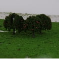thumbnail image 4 of 20 Manzana Frutas Árbol Baoblaze Modelo Tren Ferrocarril Wargame Diorama 6 cm Verde Rojo, 4 of 8