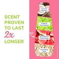 thumbnail image 5 of Naturel Promise Fresh & Soothing Deep Cleaning Sweet Summer Dog Shampoo, 22oz Bottle, 5 of 8