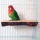 thumbnail image 5 of 2 piezas de soporte de madera para percha de pájaros, plataforma para loros, percha colgante, juguete, accesorios para jaula de pájaros, 5 of 7
