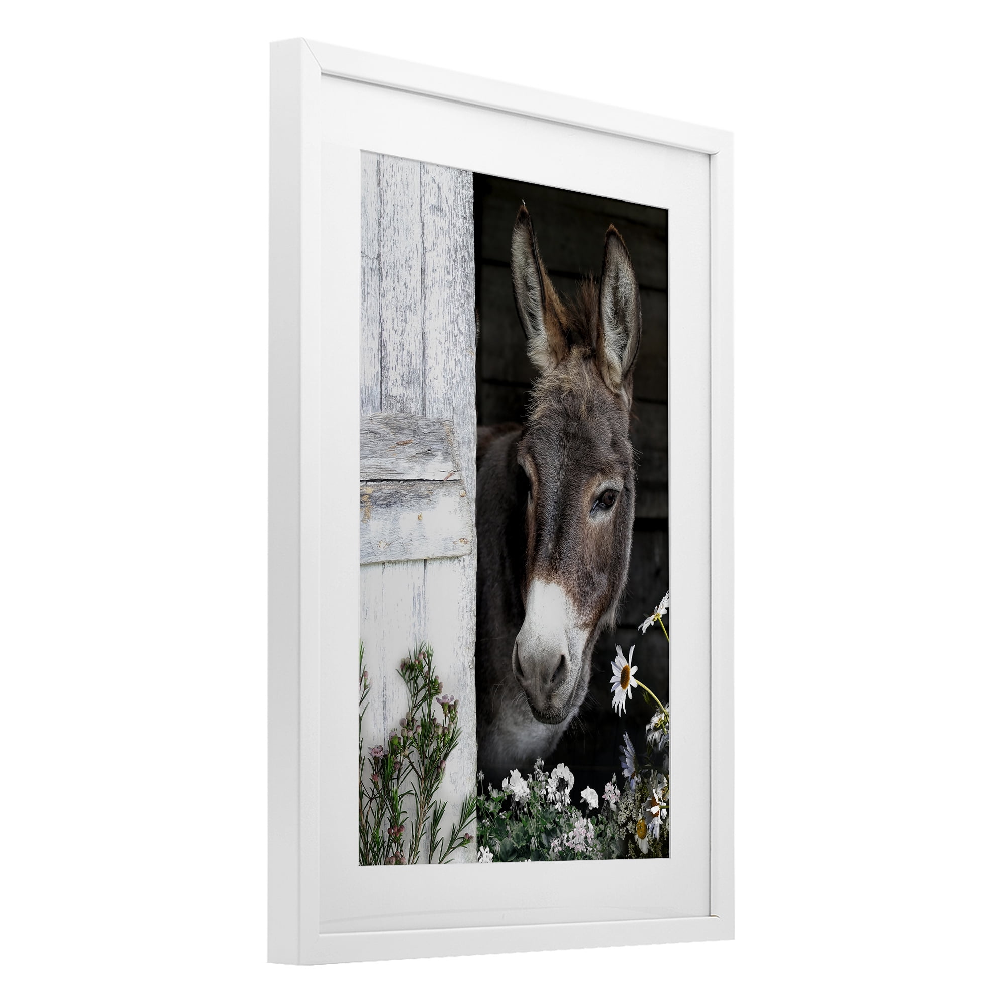 Stupell Industries Gentle Donkey Peering from Barn White Framed Print Under Glass, design by CAD Designs
