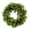 Green, variant on St Patricks Day Artificial Eucalyptus Wreath Saint Patrick Decorations for Front Door - 20" St Paddys Shamrock Decor for Spring Home Wall Porch Party Supplies