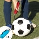 thumbnail image 2 of Naiovety bomba portátil plástico voleibol fútbol inflador fútbol herramienta inflable inflación al aire libre escuela patio azul Type2 NO2, 2 of 6