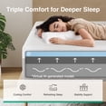 thumbnail image 5 of Novilla Bliss 12 Inch Queen Size Gel Memory Foam Cooling Mattress in a Box + Classic Luxe Queen Platform Bed Frame with Velvet Upholstered Adjustable Headboard, White, 5 of 14