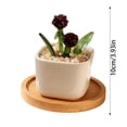 thumbnail image 3 of Personalized Mini Birth Month Flower Pot, Small Ceramic Vase Table Decor with Colorful Floral Design, Cute Indoor Home Desk Decoration for Living Room Office, Mother's Day Gift for Women Mom, 3 of 5