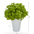 thumbnail image 2 of 14in. Basil Artificial Plant in White Planter, 2 of 2