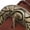 Brown, variant on Women's Braided Strap Clogs – Western Buckle Slip-On Clogs for Everyday Wear