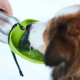 thumbnail image 3 of Messy Mutts Bouteille d'Eau de Voyage en Acier Inoxydable avec Bol Rabattable en Silicone / Accessoire de Voyage pour Animaux / Camping, Randonnée, Marche / 24 oz /, 3 of 8
